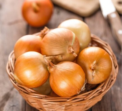 Onion Globus 